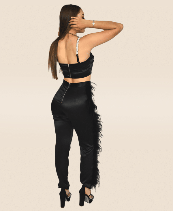 Conjunto plumas