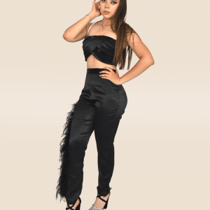 Conjunto plumas