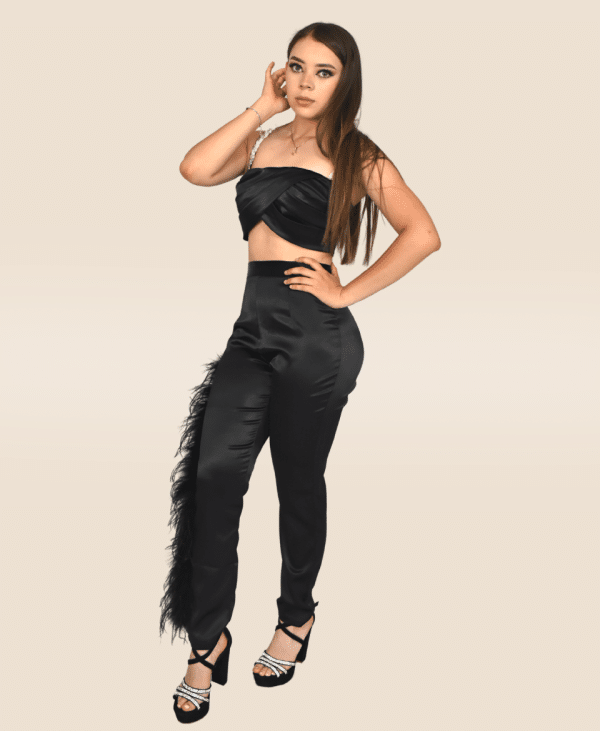 Conjunto plumas